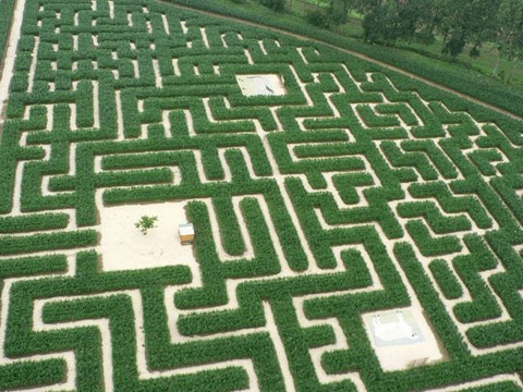 labyrinthe parc de bayeux en normandie
